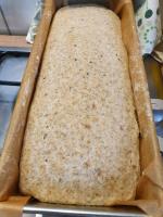 Urósł po 2.5 godz.na świeżym zakwasie. Wstawiam do pieca  i czekam. Mój pierwszy chleb na zakwasie.