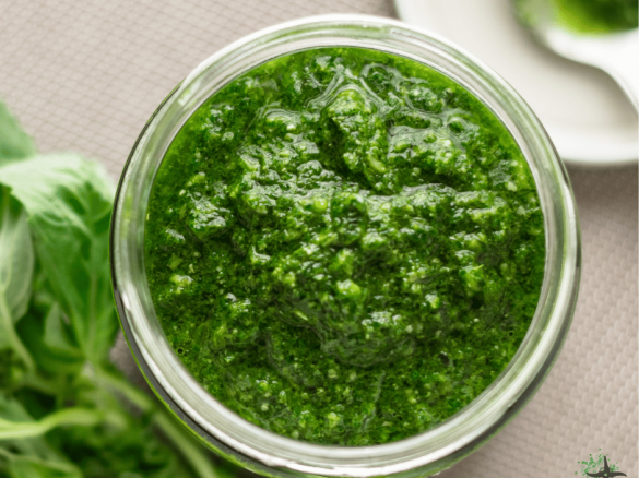 Pesto bazyliowe | Thermomaniak.pl