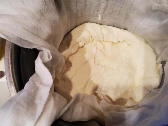 Ser paneer - indyjski