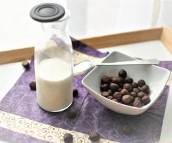 CZEKOLADOWE KULECZKI ŚNIADANIOWE