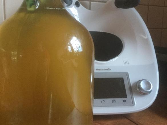 IMBIRÓWKA  -NALEWKA- rozgrzewa, leczy zapobiega przeziębieniom