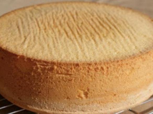 Biszkopt jasny/ciemny