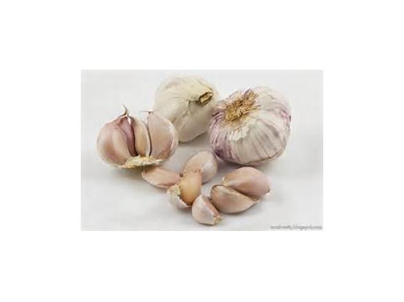 Zupa czosnkowa (z czeskiej "Przepisowni")