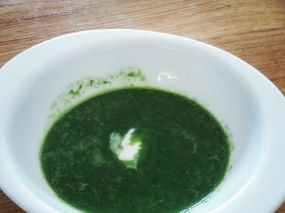 ZUpa szpinakowa z świeżego szpinaku