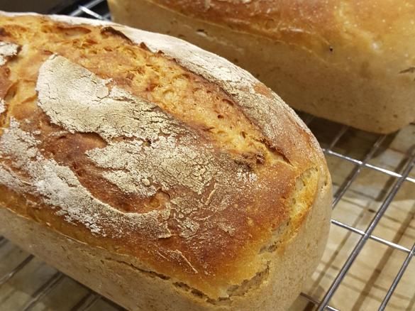 Chleb żytni 66% Hamelmana