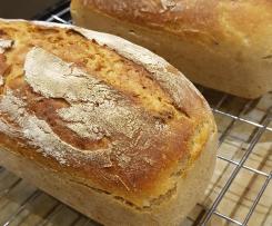 Chleb żytni 66% Hamelmana