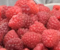 Ciasto ucierane z malinami na dużą blachę