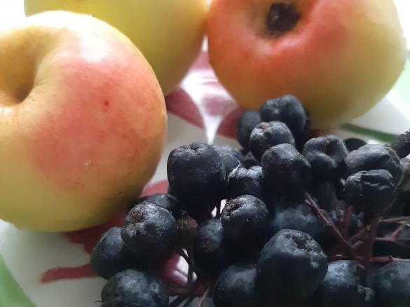 Dżem z aronii i antonówek