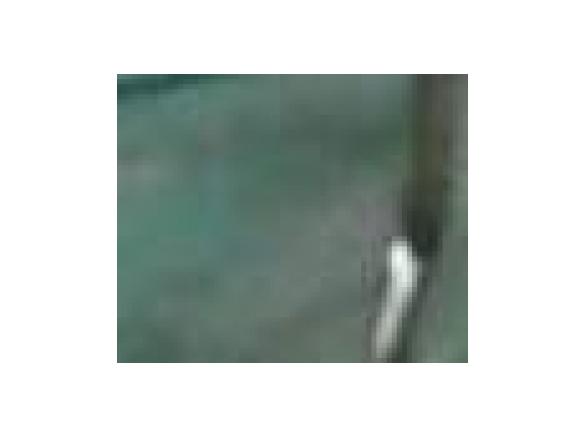 Napój marchwiowo-jabłkowo-bananowy