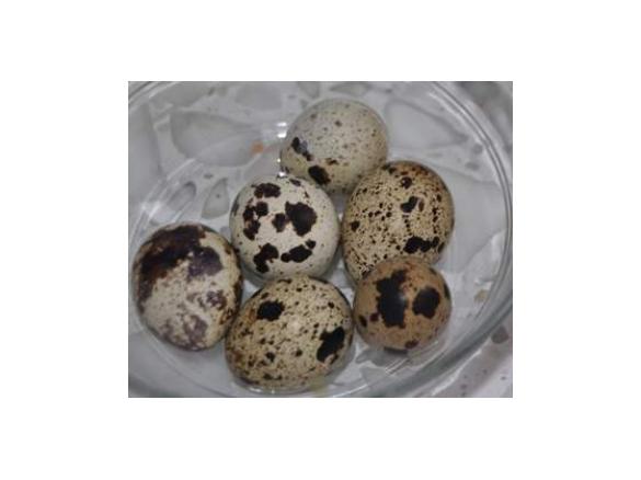 Gotwanie jajek przepiórek (na twardo)