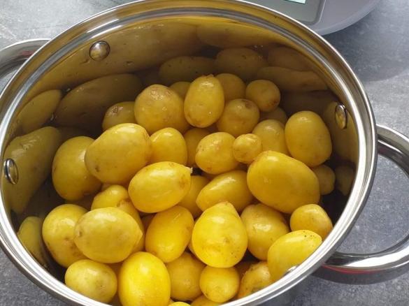 skrobanie młodych ziemniaków