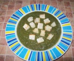 Zupa -krem 15 warzyw