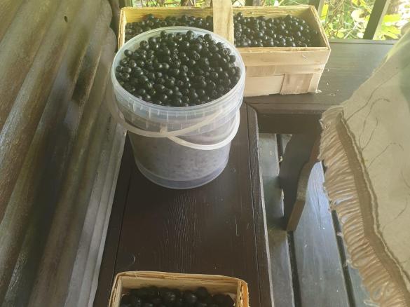 Koktajl borówkowo-migdałowy