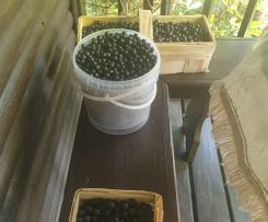 Koktajl borówkowo-migdałowy