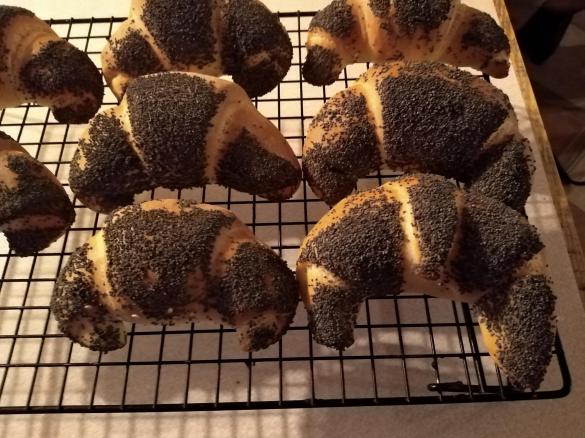 Rogale z makiem jak z piekarni