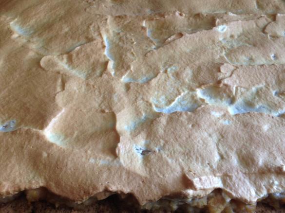 JABŁECZNIK OWSIANO KOKOSOWY BEZGLUTENOWY