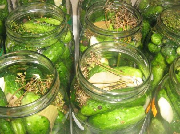 DOMOWE OGÓRKI KONSERWOWE