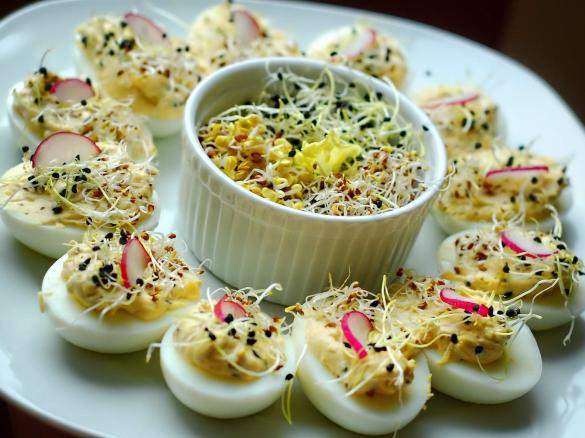 Jajka faszerowane pastą z kiełkami