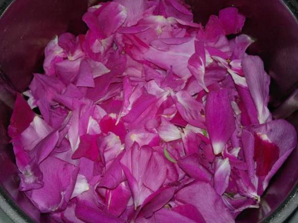 Konfitura z płatków róży