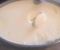 Wariant Jogurt Naturalny 