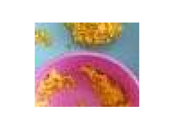 Annabel Karmel: Kurczak z batatami i jablkiem. (Dla dzieci)