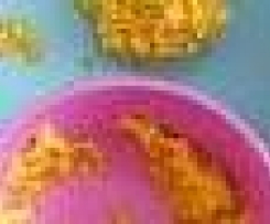 Annabel Karmel: Kurczak z batatami i jablkiem. (Dla dzieci)