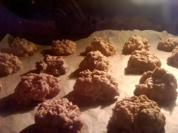 ciasteczka jabłkowo - owsiane