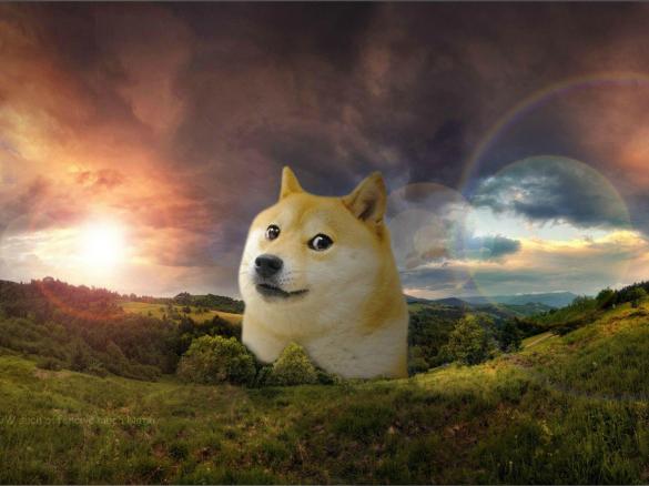 płatki owsiane górskie