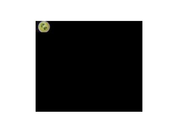 MIGDAŁOWE CIASTO Z TURYNGII