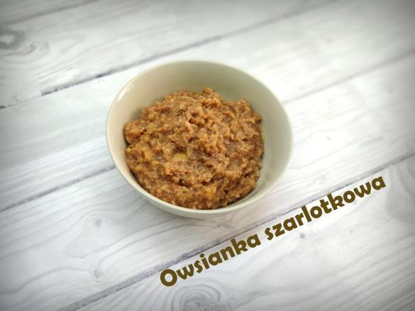 Owsianka z jabłkiem i cynamonem - szarlotkowa