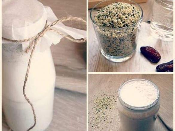 Mleko konopne {raw&vegan superfood}