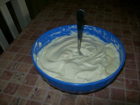 majonez anty- salmonella