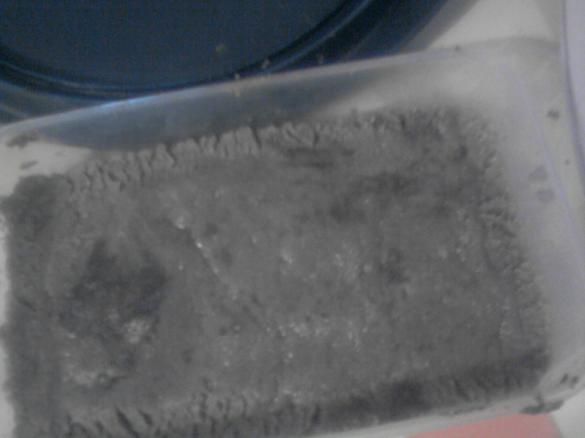 Chałwa ze słonecznika