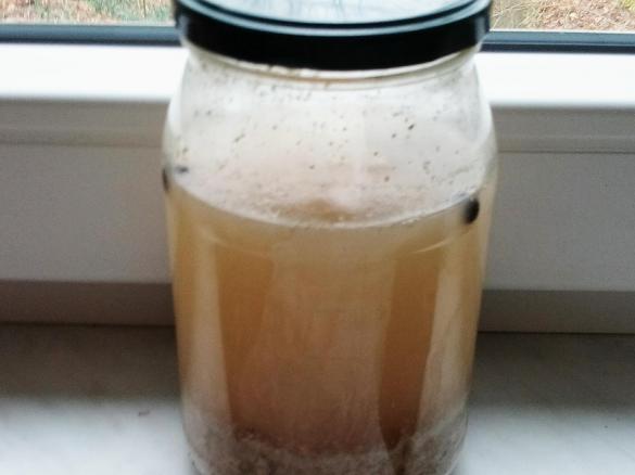 ZAKWAS NA ZUREK SLASKI (na bazie wody fermentacyjnej)