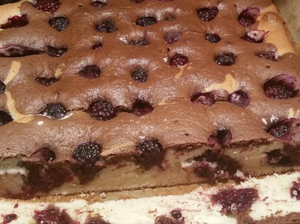 Fale Dunaju z jeżynami