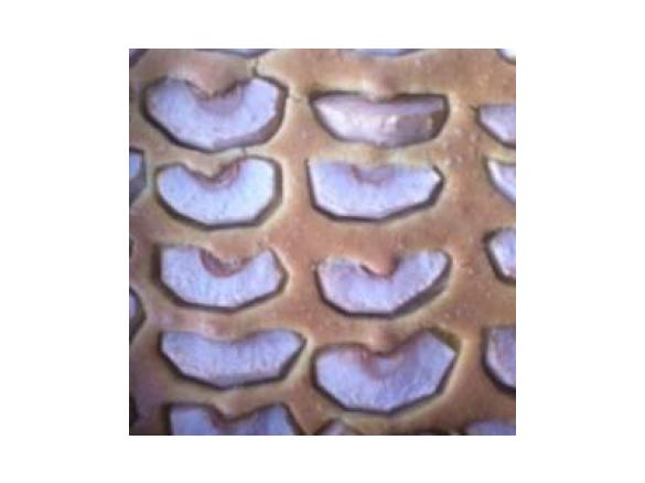 Ciasto owocowe bezglutenowe