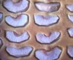 Ciasto owocowe bezglutenowe