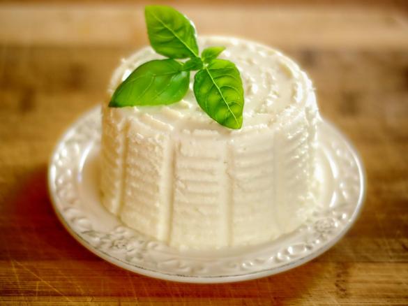 Domowa ricotta